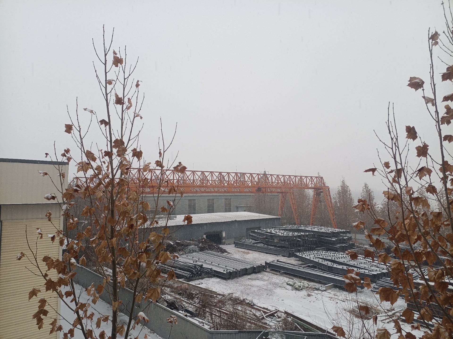 衡水鋼結(jié)構(gòu),衡水鋼結(jié)構(gòu)廠,衡水鋼結(jié)構(gòu)廠房,衡水鋼結(jié)構(gòu)廠家，衡水廠房車間加工，衡水鋼結(jié)構(gòu)--金鼎鋼構(gòu)廠雪景貨場